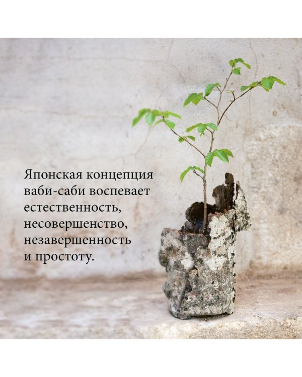 Wabi Sabi. Глоток счастья по-японски