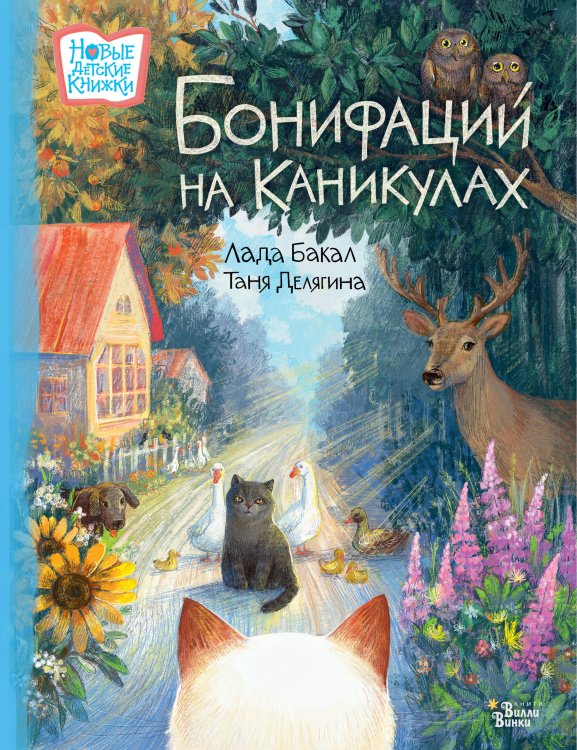 Новые детские книжки Бонифаций на каникулах