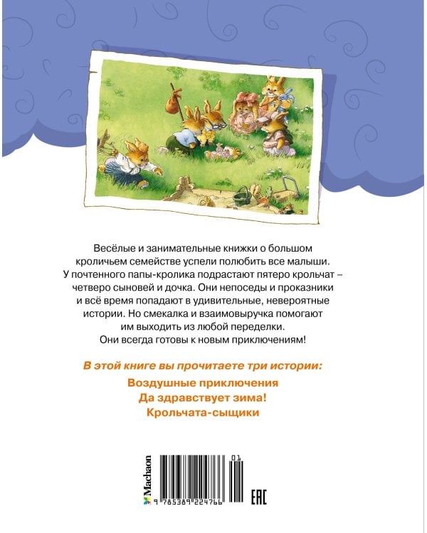 Воздушные приключения