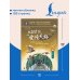 6208 ступеней лестницы любви. Уровень 3