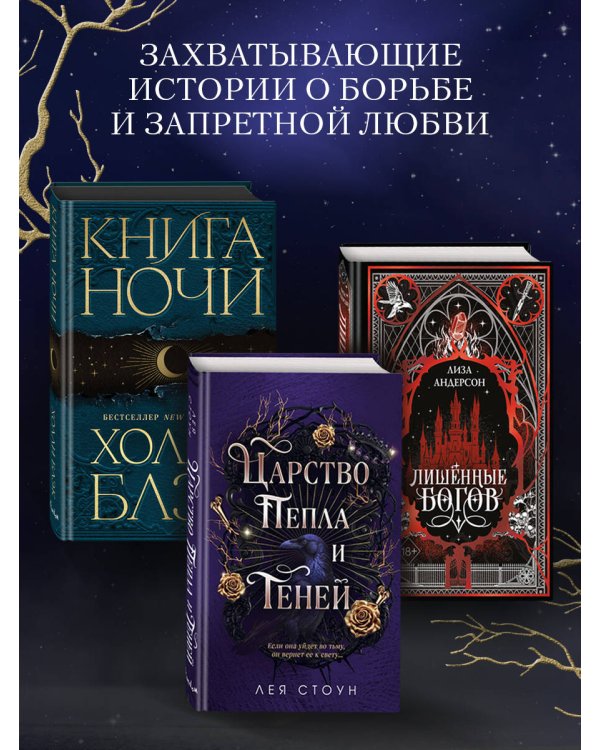 Дополнительное изображение книги «Царство Пепла и Теней»
