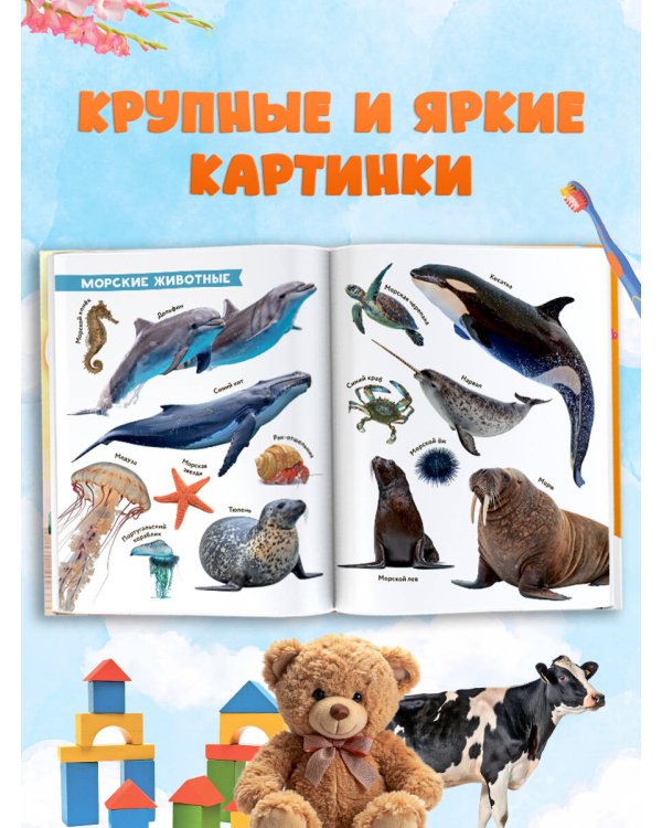 Первая энциклопедия малыша