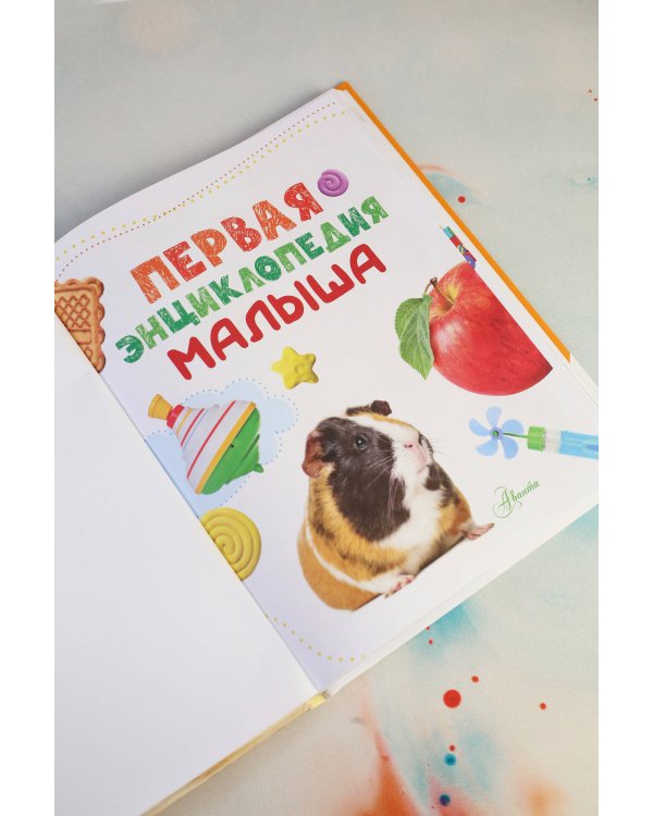 Первая энциклопедия малыша