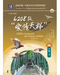 6208 ступеней лестницы любви. Уровень 3