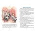 Дополнительное изображение книги «Весёлое мореплавание Солнышкина»
