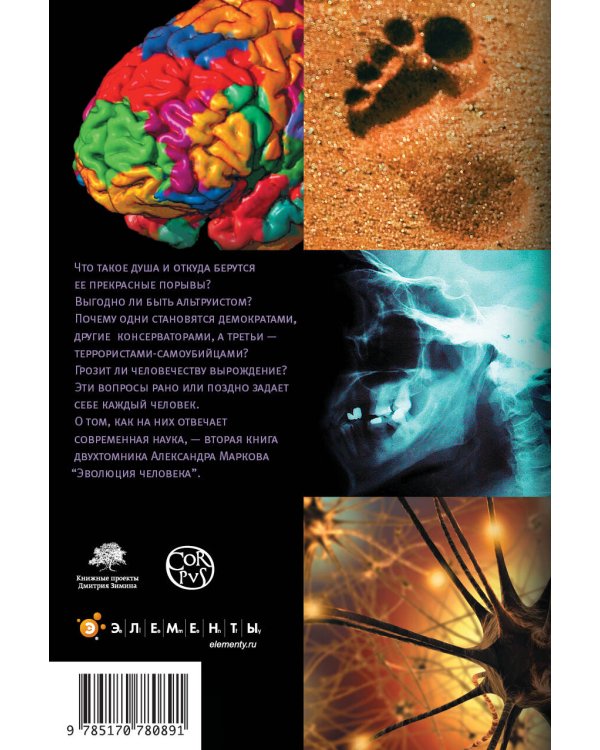 Эволюция человека. [В 3 кн.] Кн. 2. Обезьяны, нейроны и душа