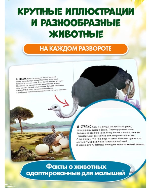 Дополнительное изображение книги «Рассмотри и погладь! (панда)»