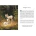 Книга Единорогов. Волшебный путеводитель по страницам фолиантов, глубинам тайных знаний и вершинам изящных искусств Книга Единорогов. Волшебный путеводитель по страницам фолиантов, глубинам тайных знаний и вершинам изящных искусств