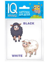 Умный малыш. ENGLISH. Противоположности.