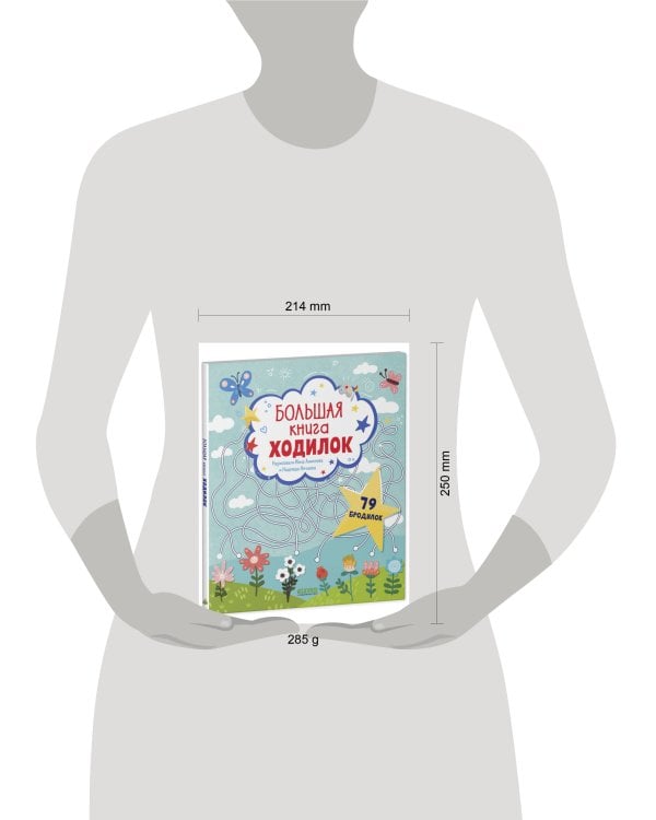 Лабиринты. Большая книга ходилок