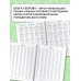 3000 новых примеров по математике. 1 класс. Счёт в пределах десятка.