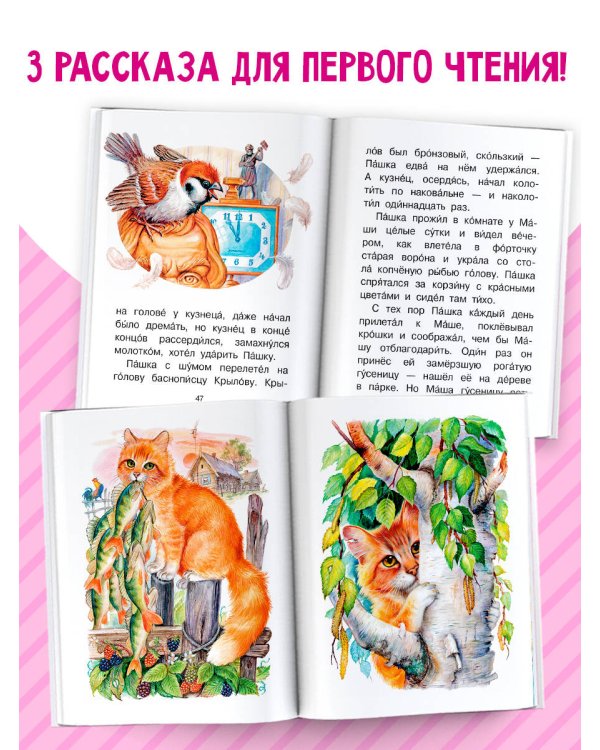 Дополнительное изображение книги «Кот-ворюга и другие рассказы о животных»