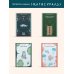 Дополнительное изображение книги «Итальянские сказки»