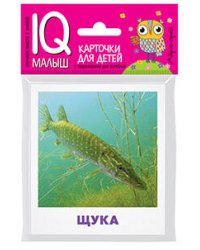 Умный малыш. Пресноводные рыбы. Набор карточек для детей.