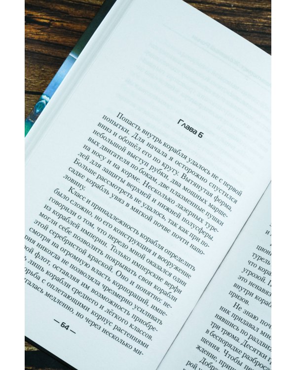 Авантюрист. Железный Ронин