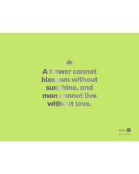 Скетчбук зеленый (230х180 мм, офсет 160 гр., 40 страниц, евроспираль)