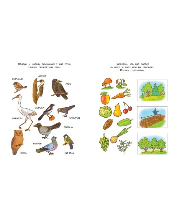 Что нас окружает (5-6 лет)