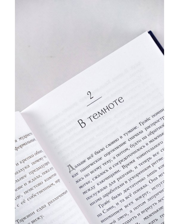 Замок на третьей горе. Книга 2. Убийцы и те, кого так называют