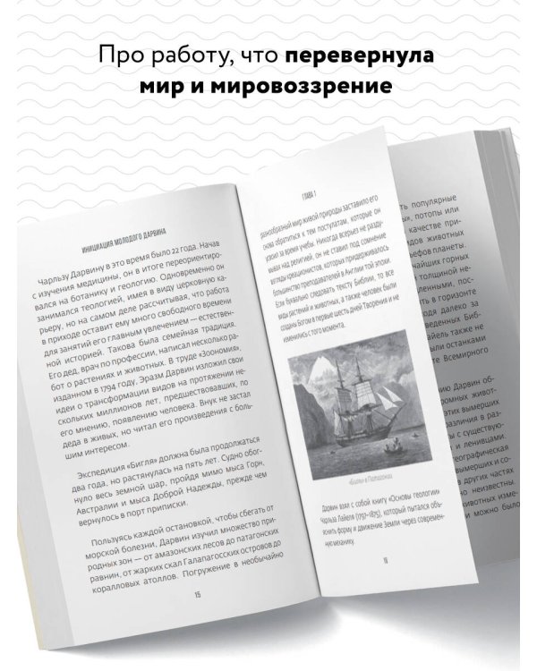 Дарвин на отдыхе. Размышляем над теорией эволюции