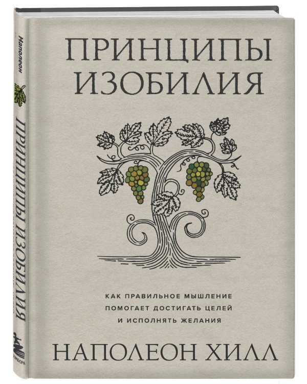 Принципы изобилия. Как правильное мышление помогает достигать целей и исполнять желания