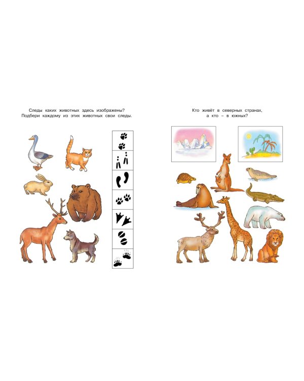 Что нас окружает (5-6 лет)