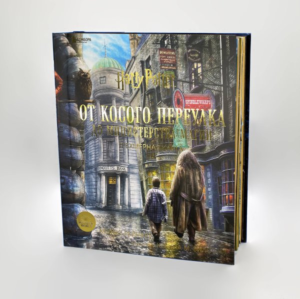 Вселенная Harry Potter/Гарри Поттер. Подарочные издания Гарри Поттер. От Косого переулка до Министерства магии. Трехмерная карта
