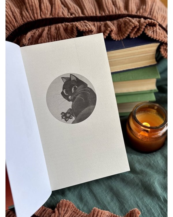 Дополнительное изображение книги «Убийство среди книг»