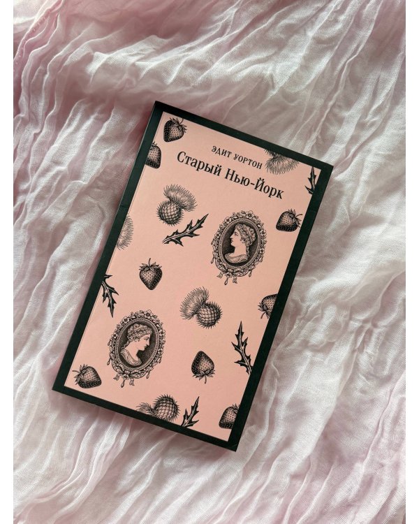 Дополнительное изображение книги «Старый Нью-Йорк»