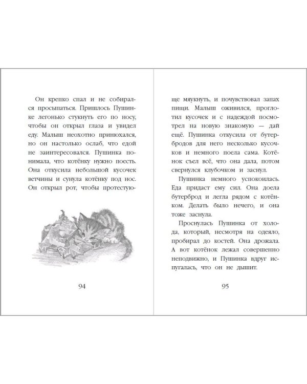 Котёнок Снежинка, или Зимнее волшебство