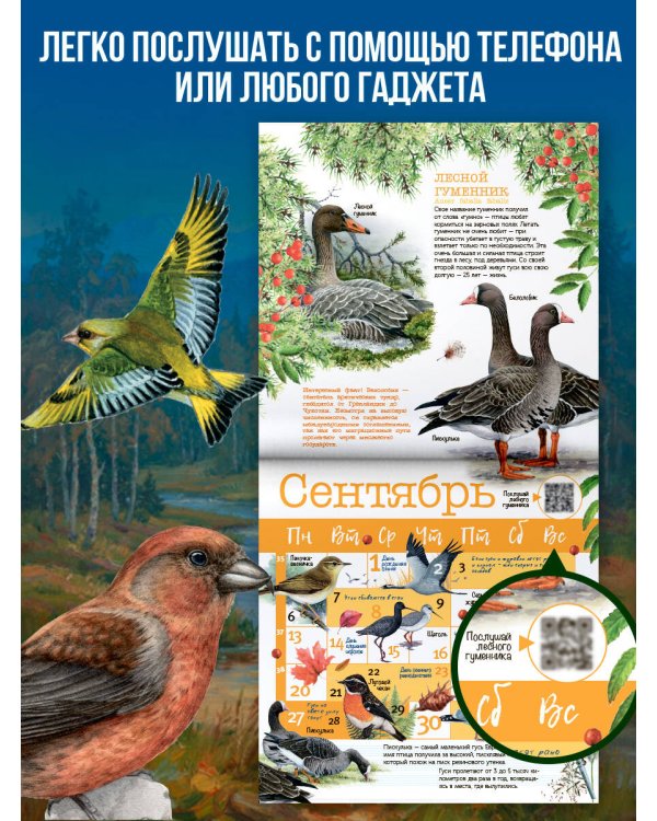Дополнительное изображение книги «Календарь Птицы с голосами 2027 год»