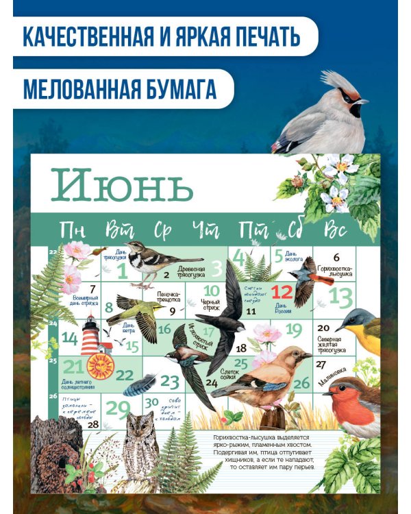Дополнительное изображение книги «Календарь Птицы с голосами 2027 год»