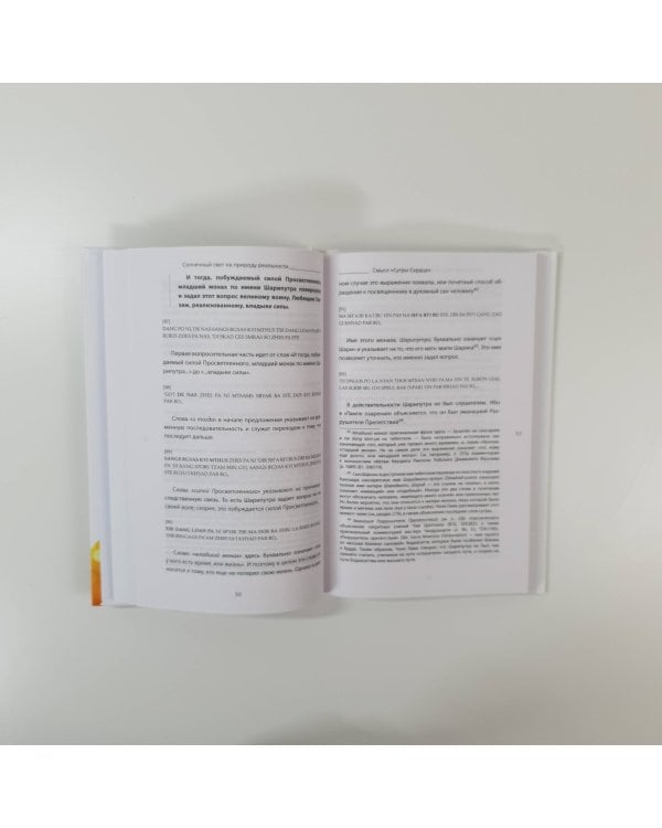 Мудрость Сутры Сердца. Солнечный свет на суть вещей