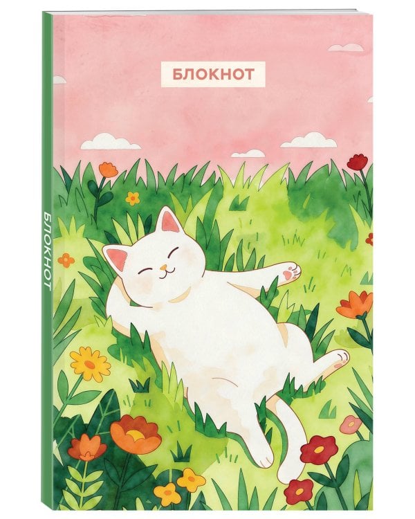 Блокнот с котом. Сегодня без подвигов (А5, мягкая обложка, 64 л.)