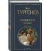 Всемирная литература (с картинкой) Дворянское гнездо