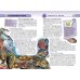 Дополнительное изображение книги «Подводный мир»