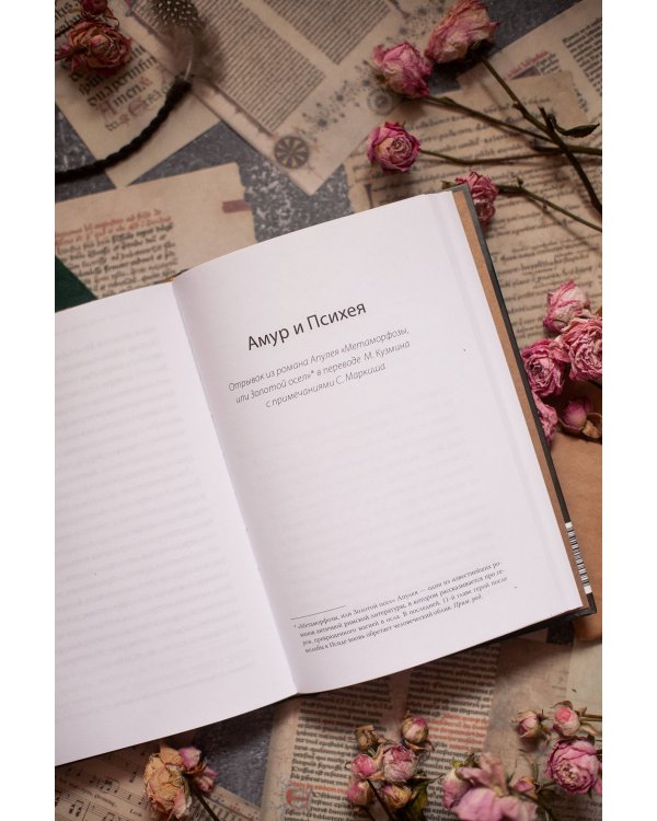 Амур и Психея. Трансформация женственности в толковании мифа