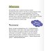 Обломов. Вечные истории. Young Adult
