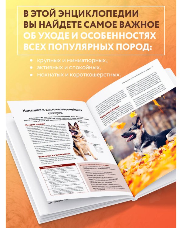 Самые известные породы. СОБАКИ. Большая иллюстрированная энциклопедия