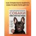 Самые известные породы. СОБАКИ. Большая иллюстрированная энциклопедия