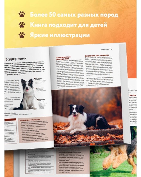 Самые известные породы. СОБАКИ. Большая иллюстрированная энциклопедия