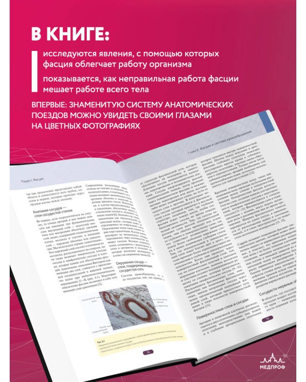 Фасция. Функциональные и медицинские аспекты