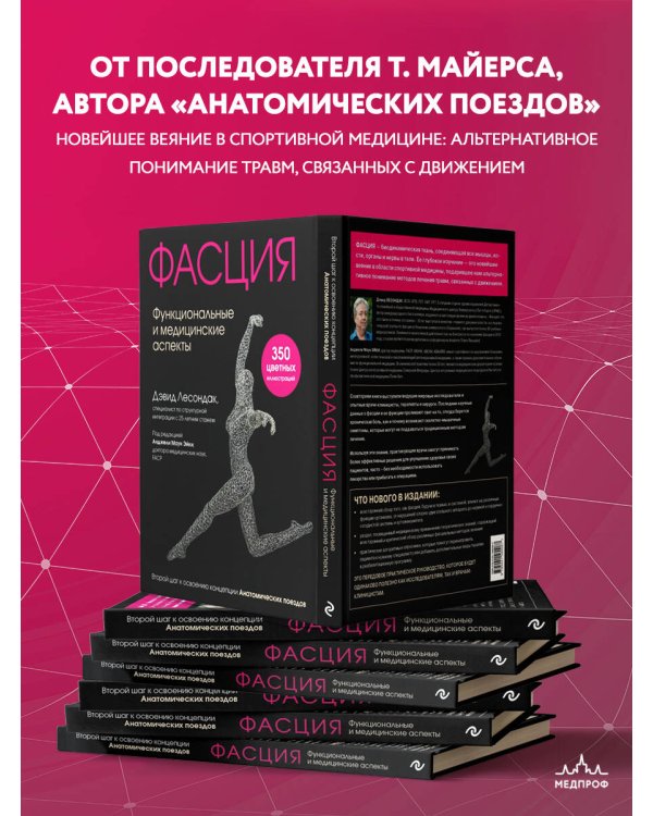 Фасция. Функциональные и медицинские аспекты