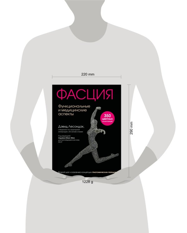 Фасция. Функциональные и медицинские аспекты