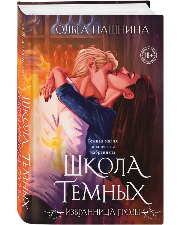 Школа темных. Избранница грозы (клатчбук)