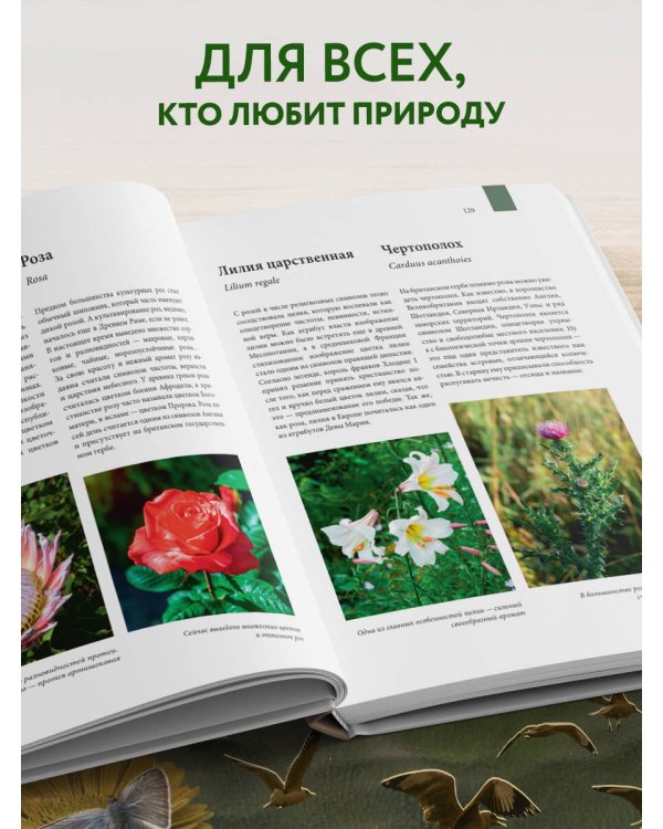 Атлас Земли. Животные, растения, грибы, бактерии, минералы и другие сокровища нашей планеты