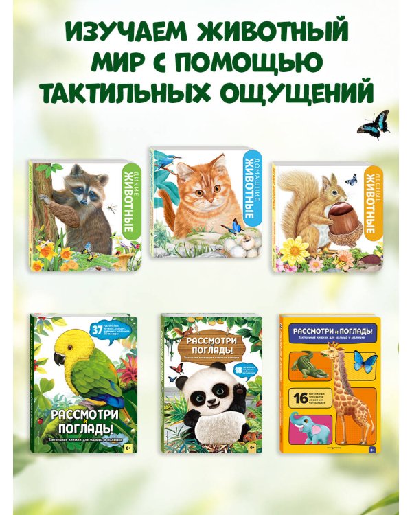Дополнительное изображение книги «Рассмотри и погладь! (попугай)»