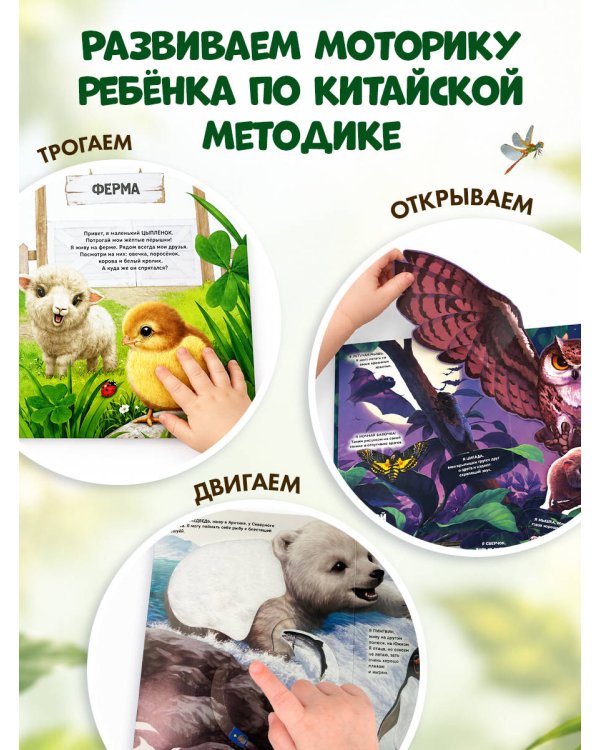 Дополнительное изображение книги «Рассмотри и погладь! (попугай)»