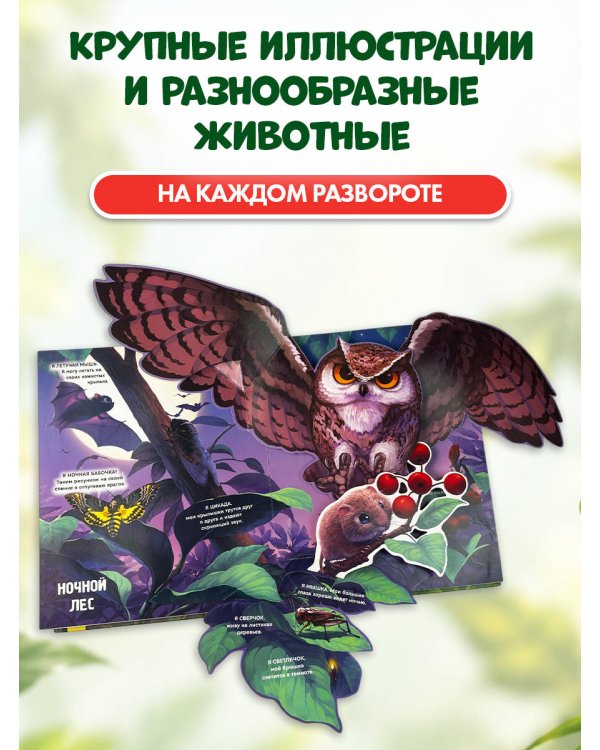 Дополнительное изображение книги «Рассмотри и погладь! (попугай)»