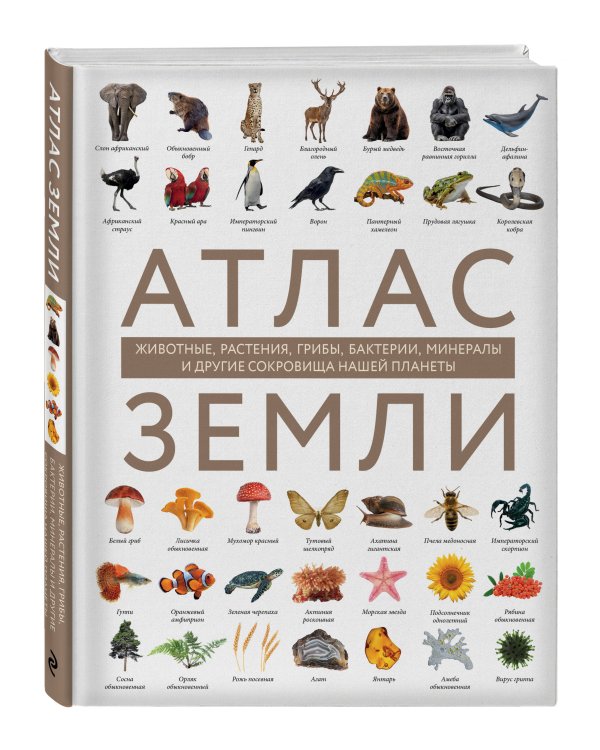 Атлас Земли. Животные, растения, грибы, бактерии, минералы и другие сокровища нашей планеты