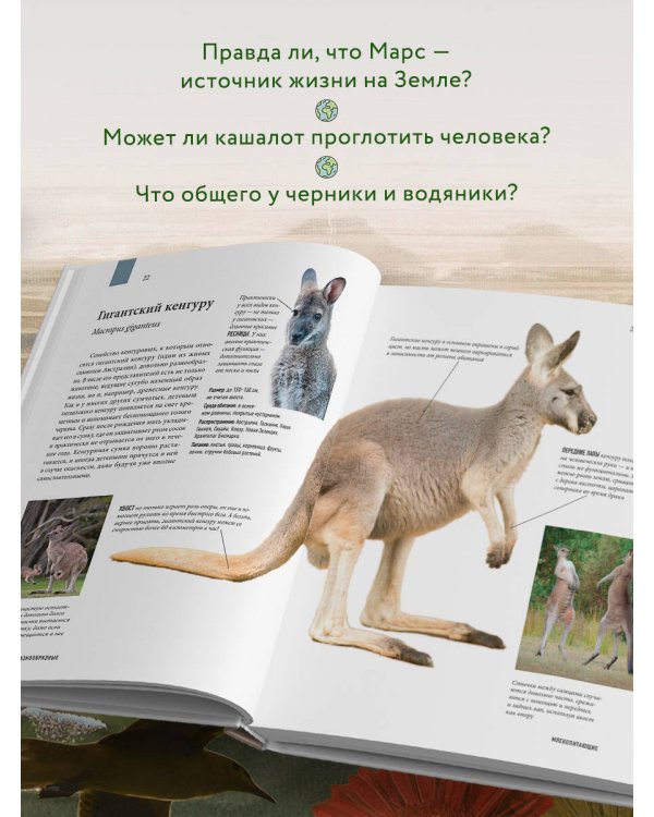 Атлас Земли. Животные, растения, грибы, бактерии, минералы и другие сокровища нашей планеты